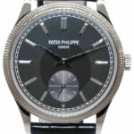 NEW Patek Philippe 6119 Calatrava 18k WG Gray Brushed Dial 39 Manual Watch 6119G