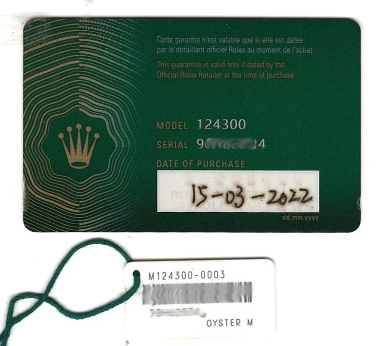 Rolex Oyster Perpetual 41 Steeel Blue Dial Mens Watch +Card '22 124300