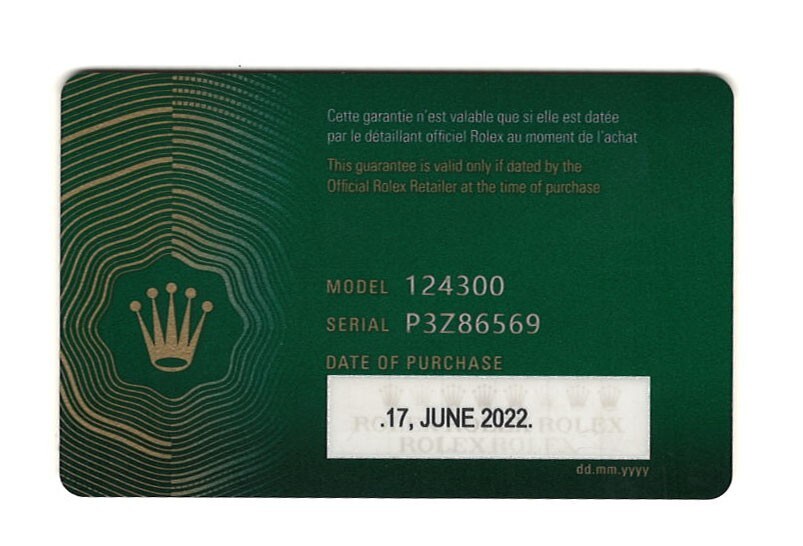 Rolex Oyster Perpetual 41 Steeel Silver Dial Mens Watch +Card '22 124300